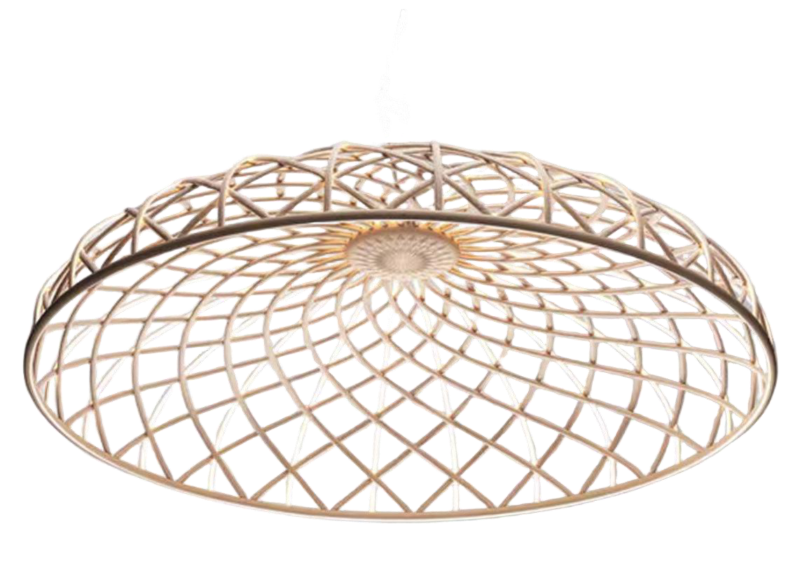 Woven Canopy ceiling light