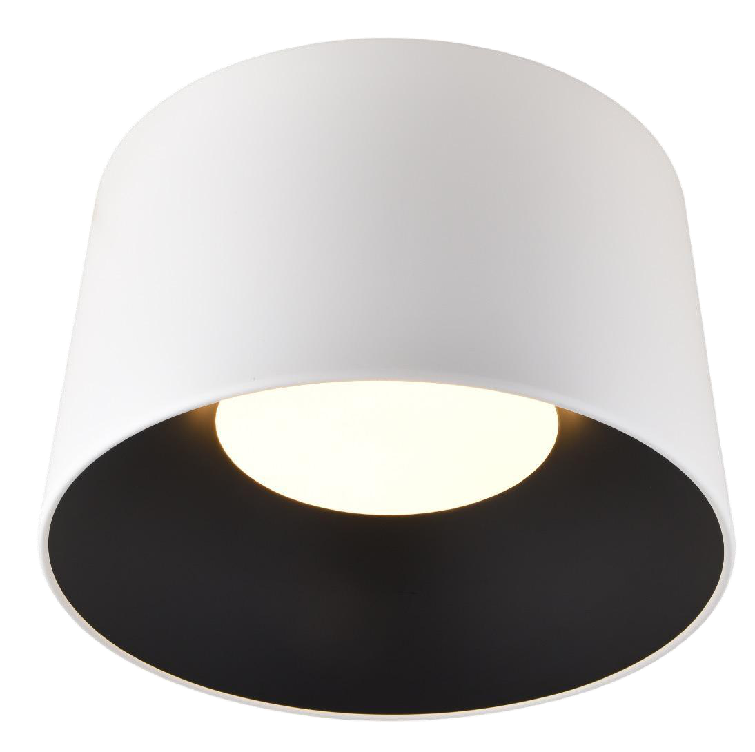 Deep Cove ceiling light
