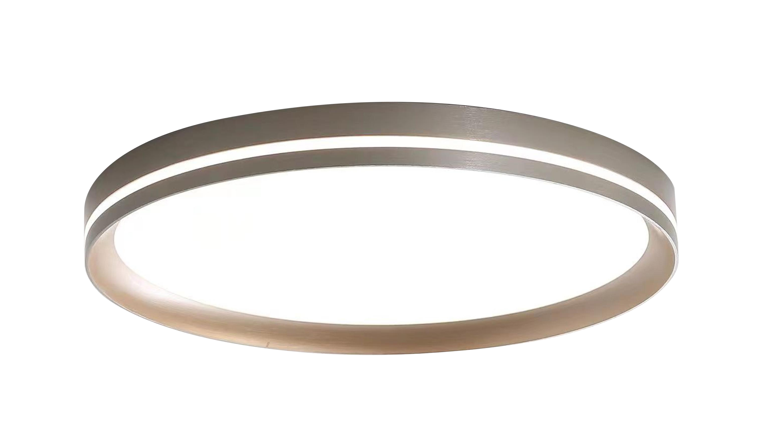 Double Rim ceiling light