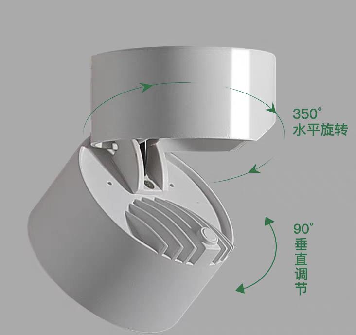 Pivot Spot ceiling light