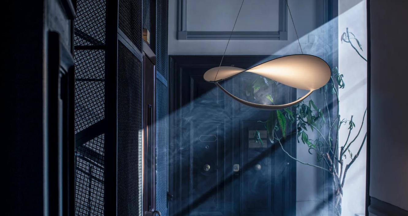 Leaf Loop pendant light