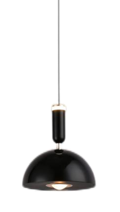 Gloss Dome pendant light