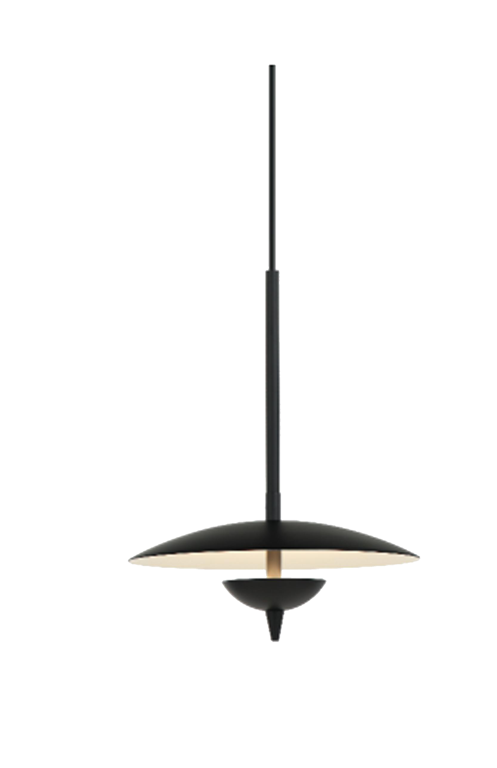 Balanced Canopy pendant light